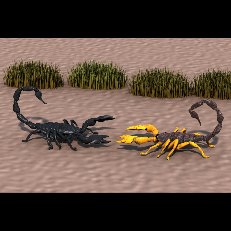 Scorpion/ Arachnid Scorpionida (for Poser) by N/A