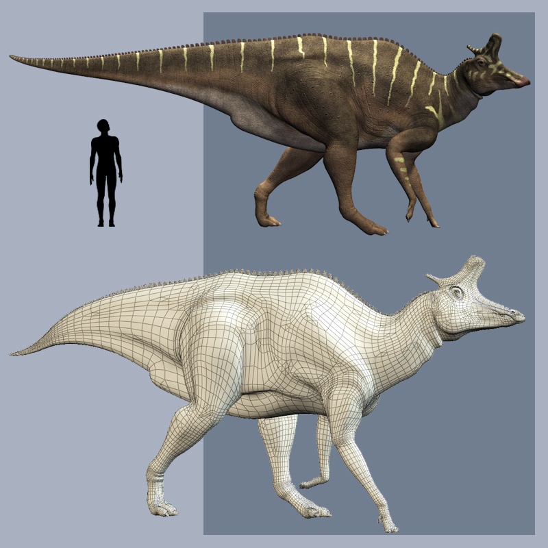 LambeosaurusDR by N/A