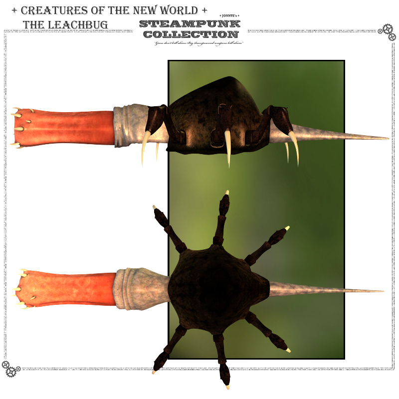 Creatures of the New World - the LeachBug by N/A