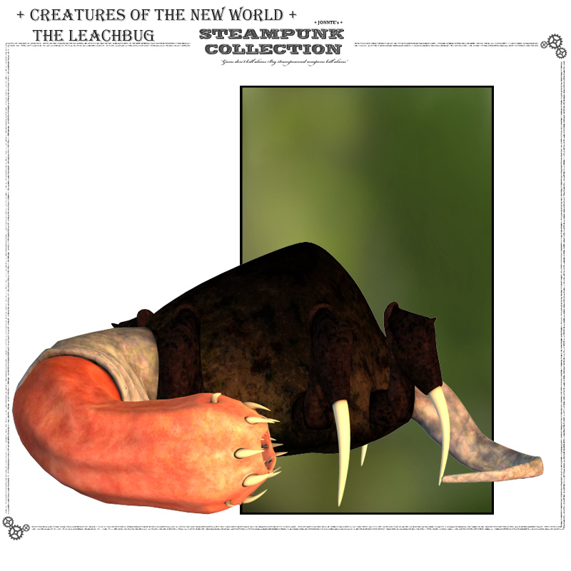 Creatures of the New World - the LeachBug by N/A
