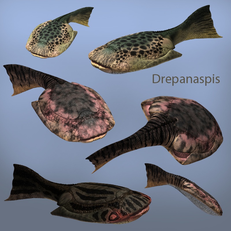 Devonian Fishes DR by N/A