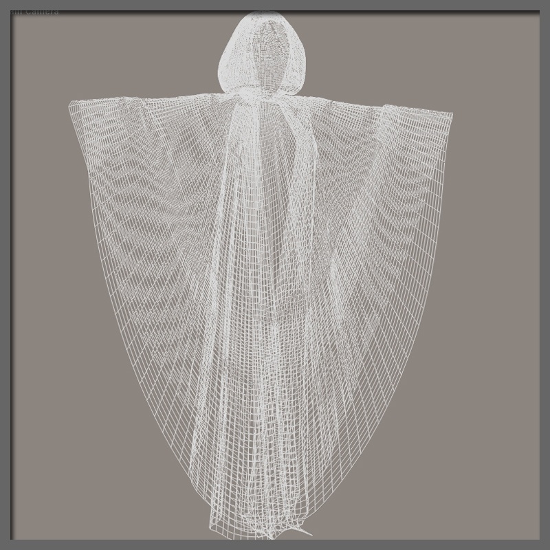 The Long Cloak by N/A