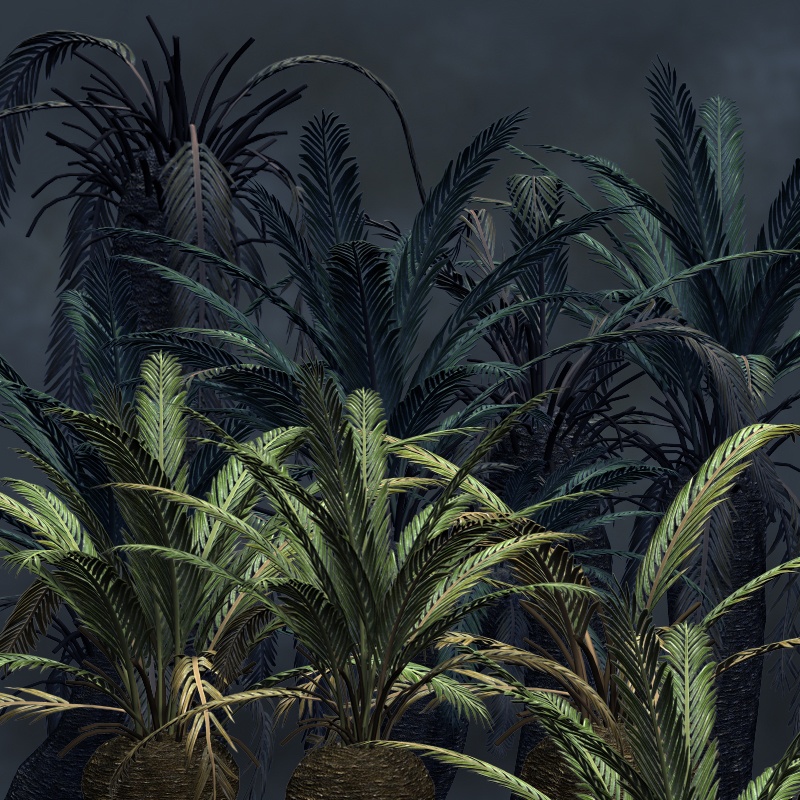 Cycads2012 DR by N/A