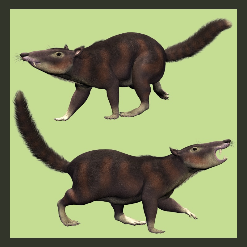 CronopioDR by N/A