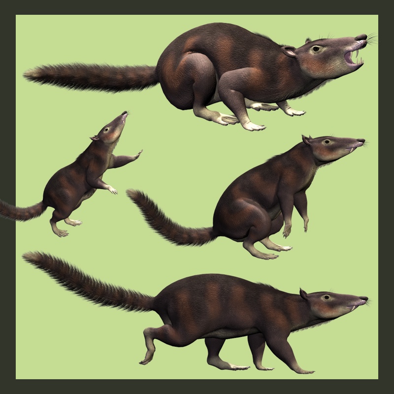 CronopioDR by N/A