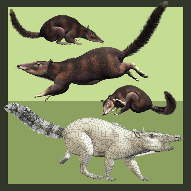 CronopioDR by N/A