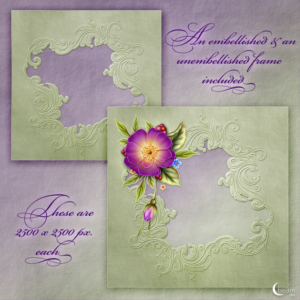 Moonbeams Fleur de Boudoir by N/A