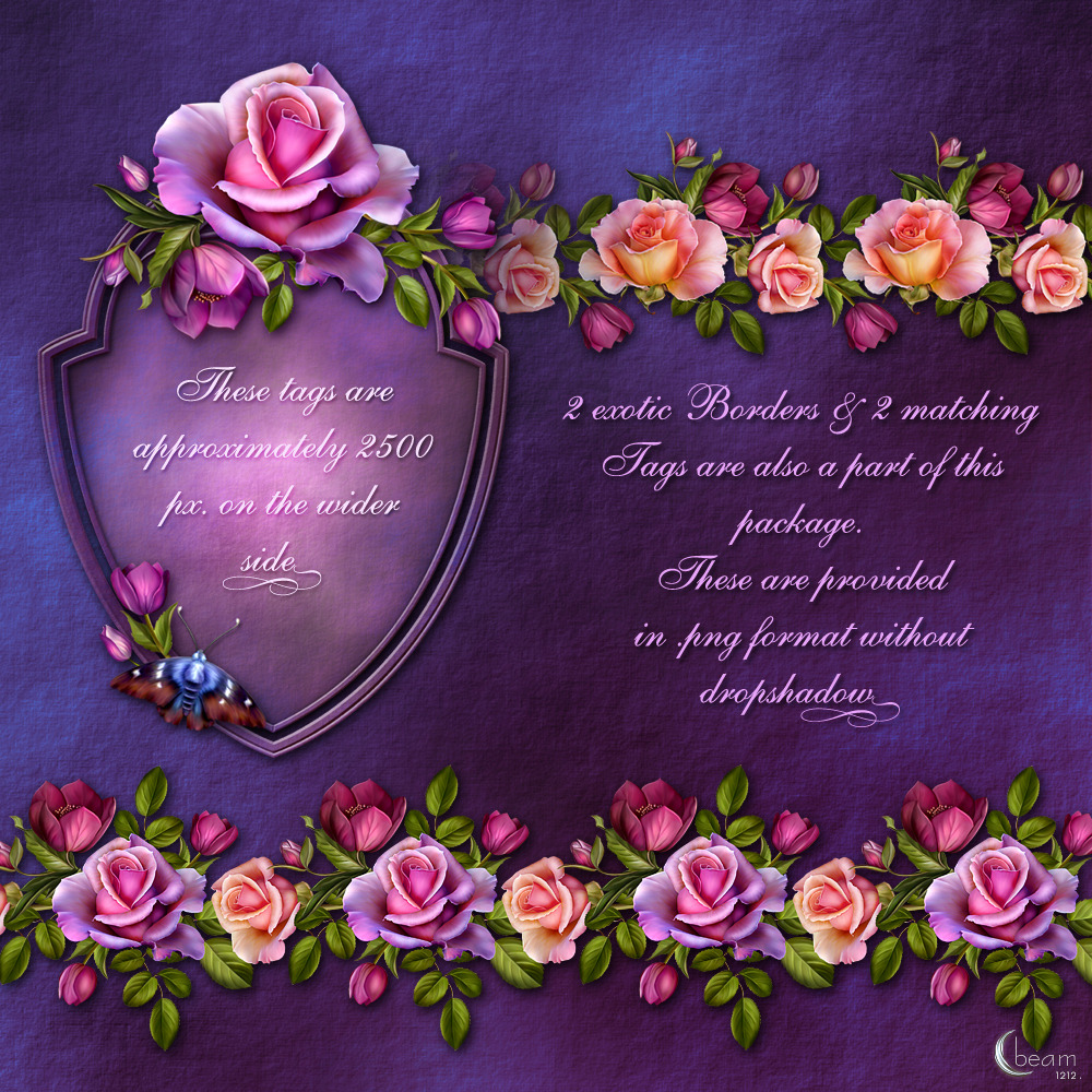 Moonbeams Rose Romantica by N/A