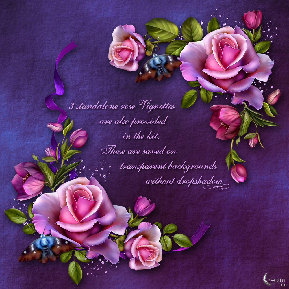 Moonbeams Rose Romantica by N/A