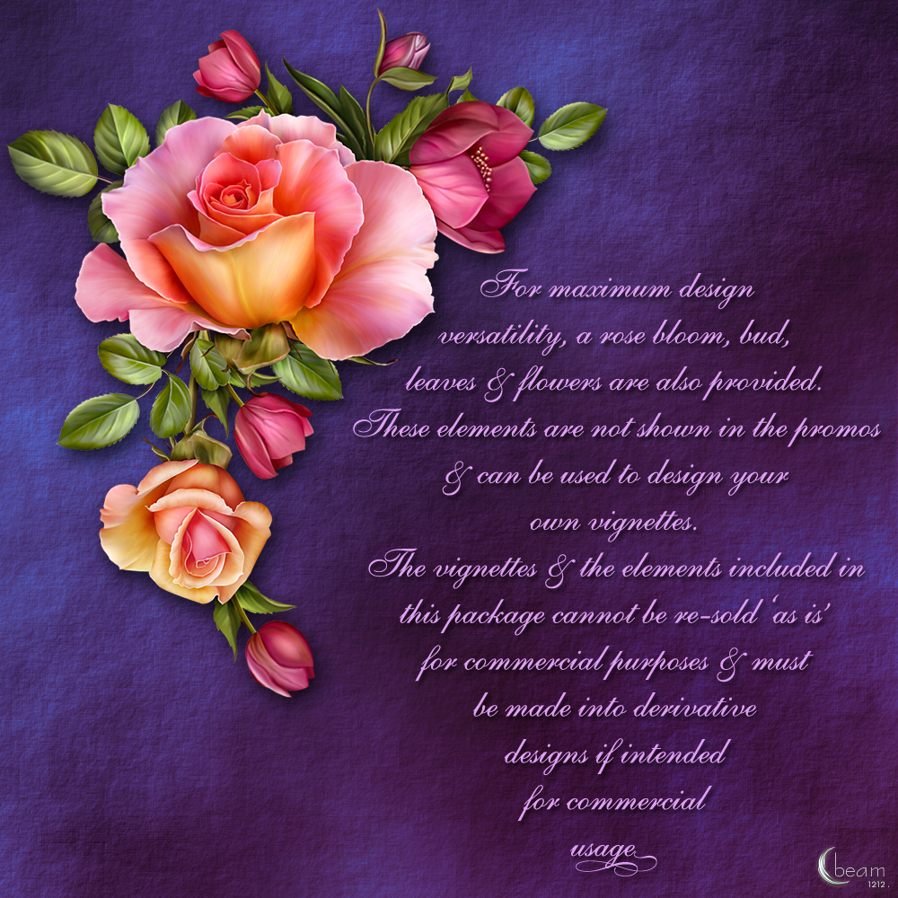 Moonbeams Rose Romantica by N/A