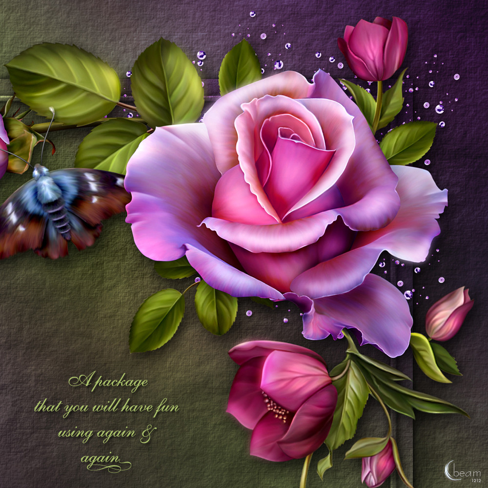 Moonbeams Rose Romantica by N/A
