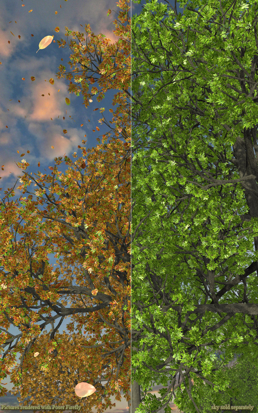 Flinks Tree 4 -seasons- by N/A
