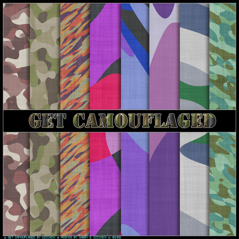 Get Camouflaged MR by N/A