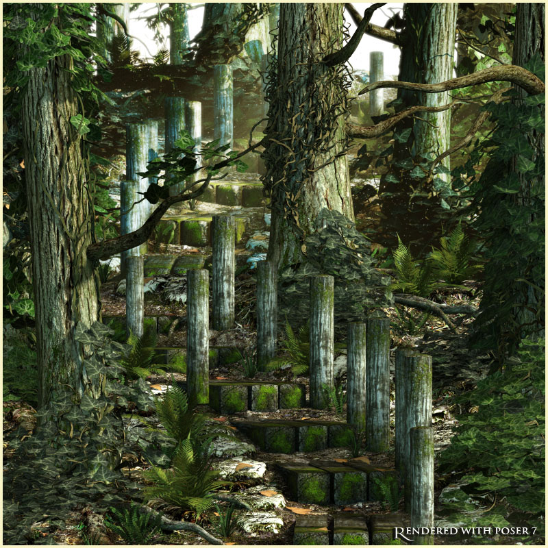 Path 8 - Forest by N/A