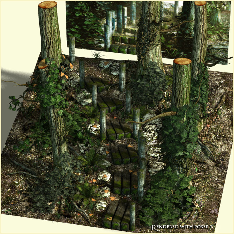 Path 8 - Forest by N/A
