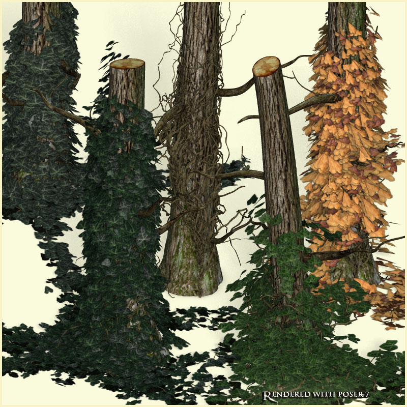 Path 8 - Forest by N/A