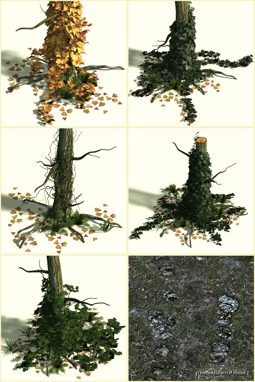 Path 8 - Forest by N/A