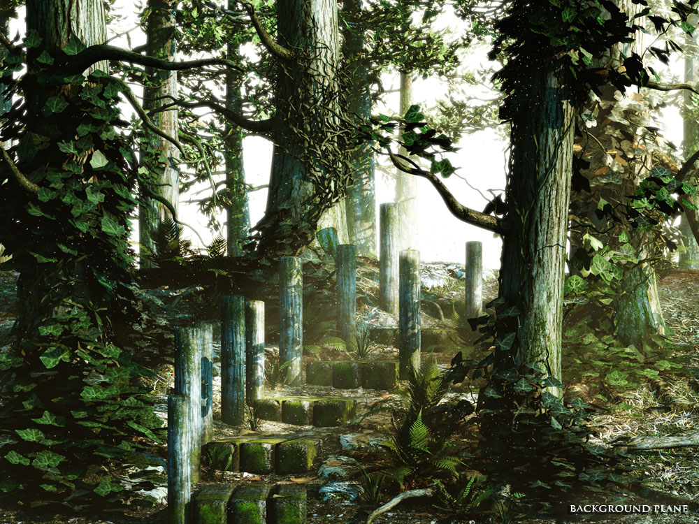 Path 8 - Forest by N/A