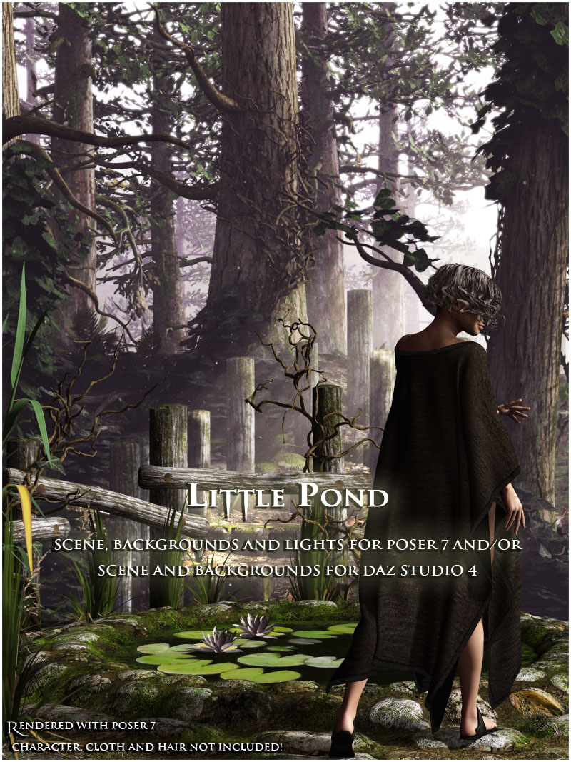 Little Pond by N/A