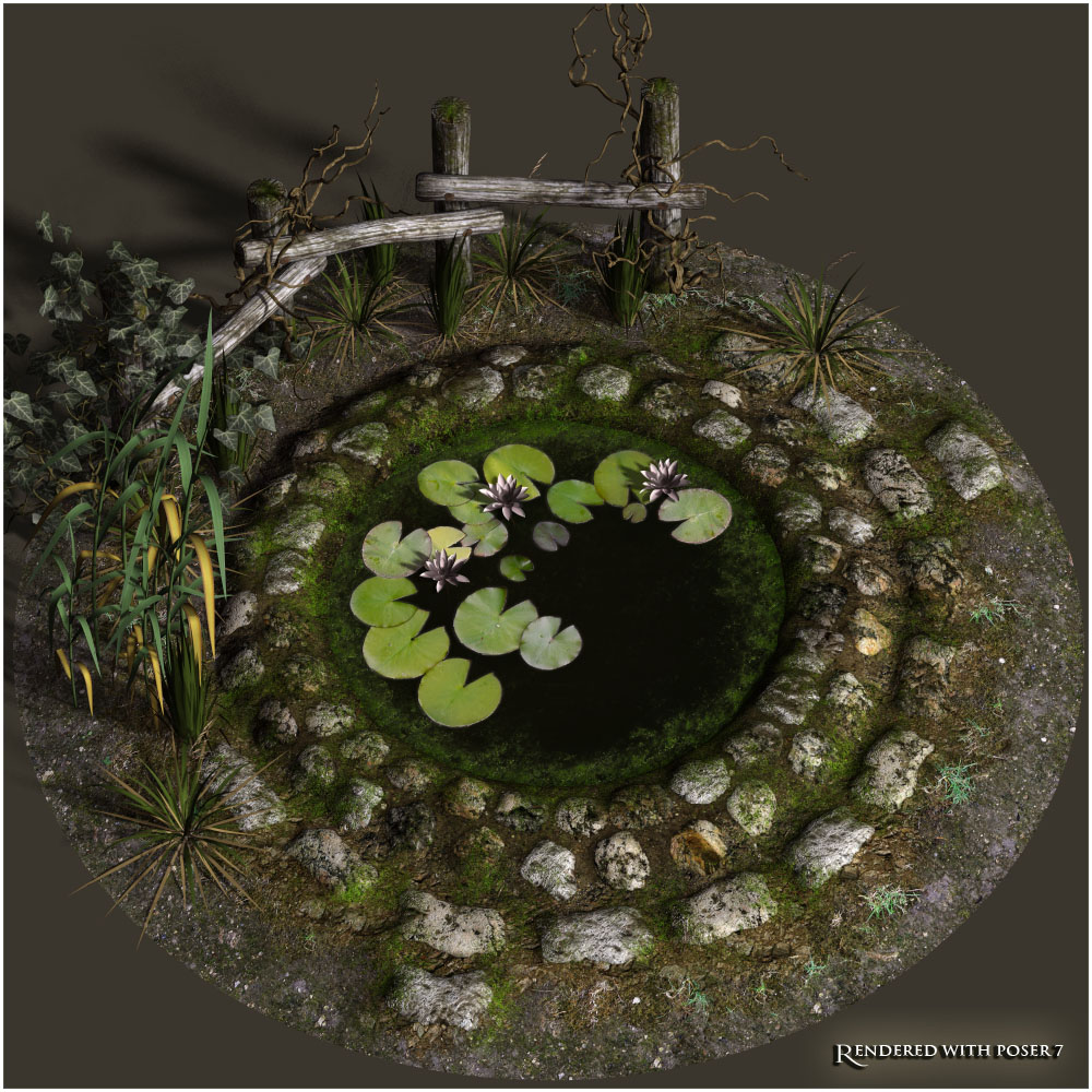 Little Pond by N/A