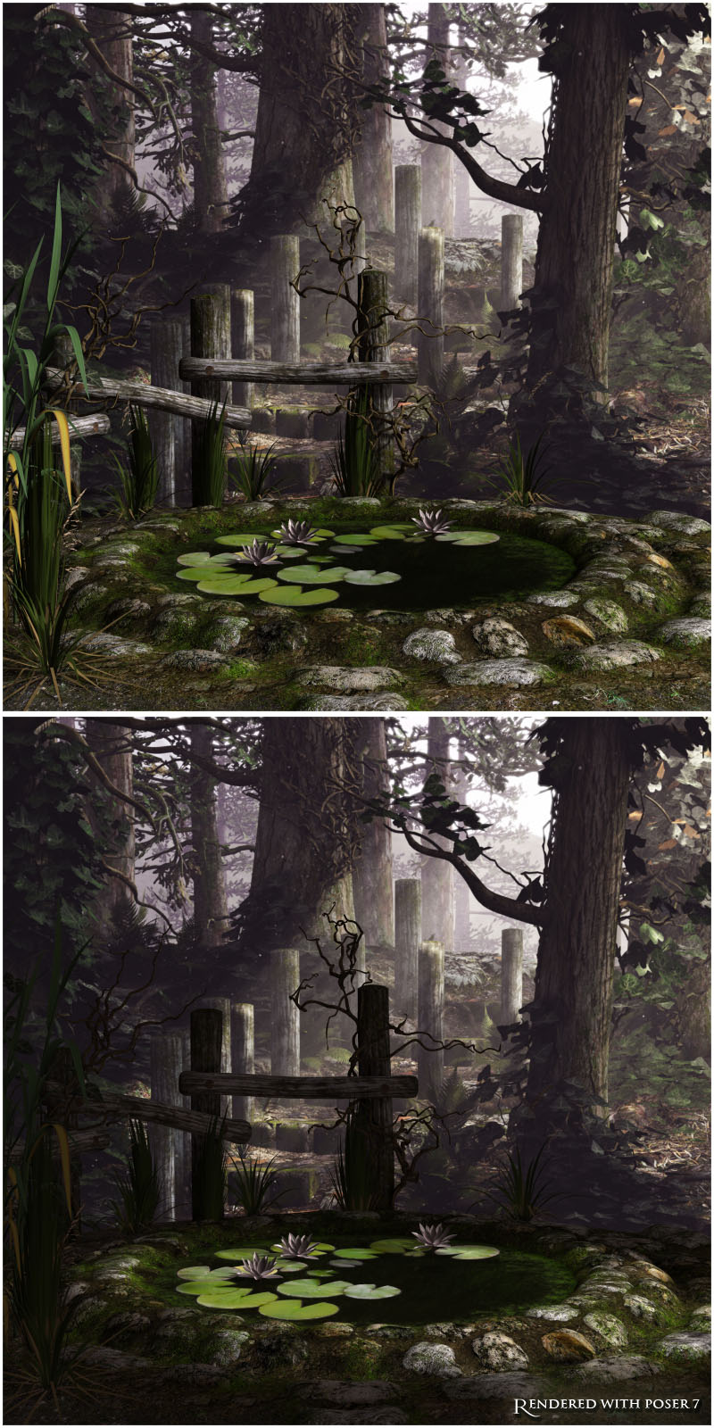 Little Pond by N/A