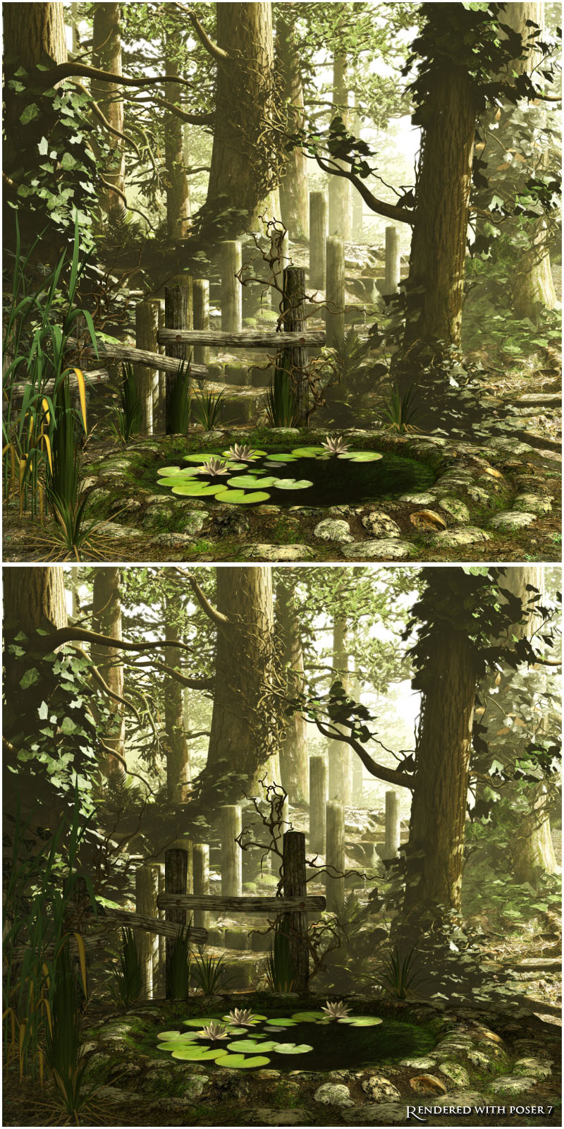 Little Pond by N/A