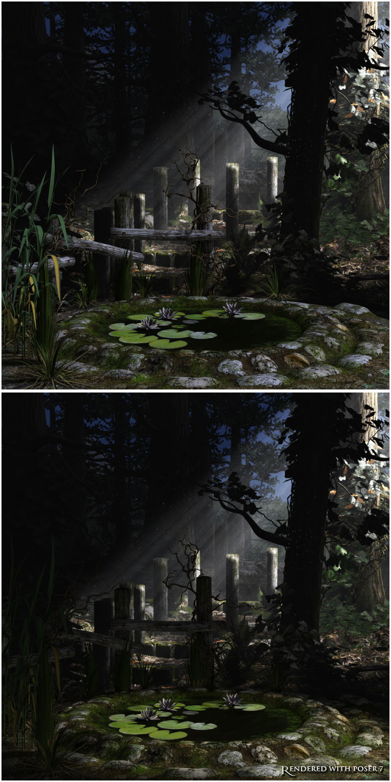 Little Pond by N/A