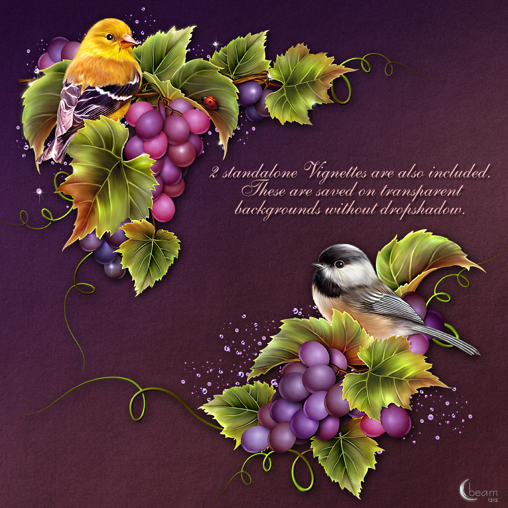 Moonbeams Vino by N/A
