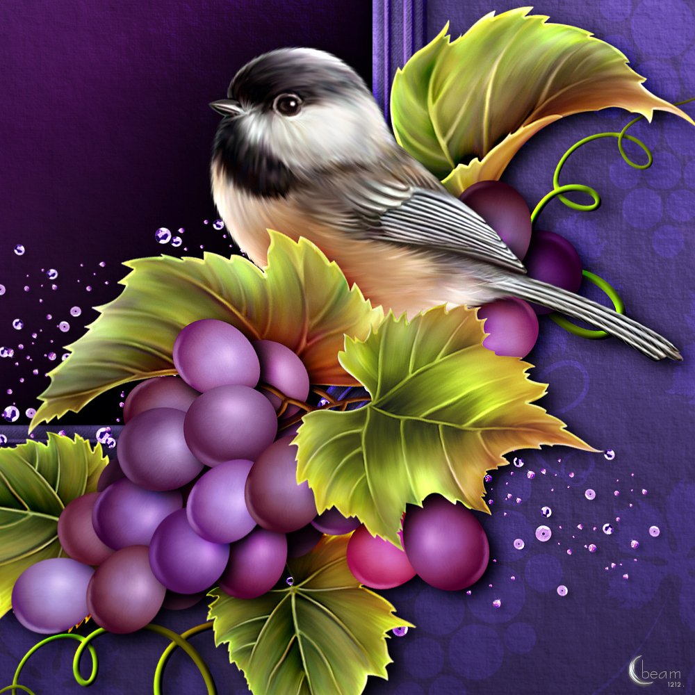 Moonbeams Vino by N/A