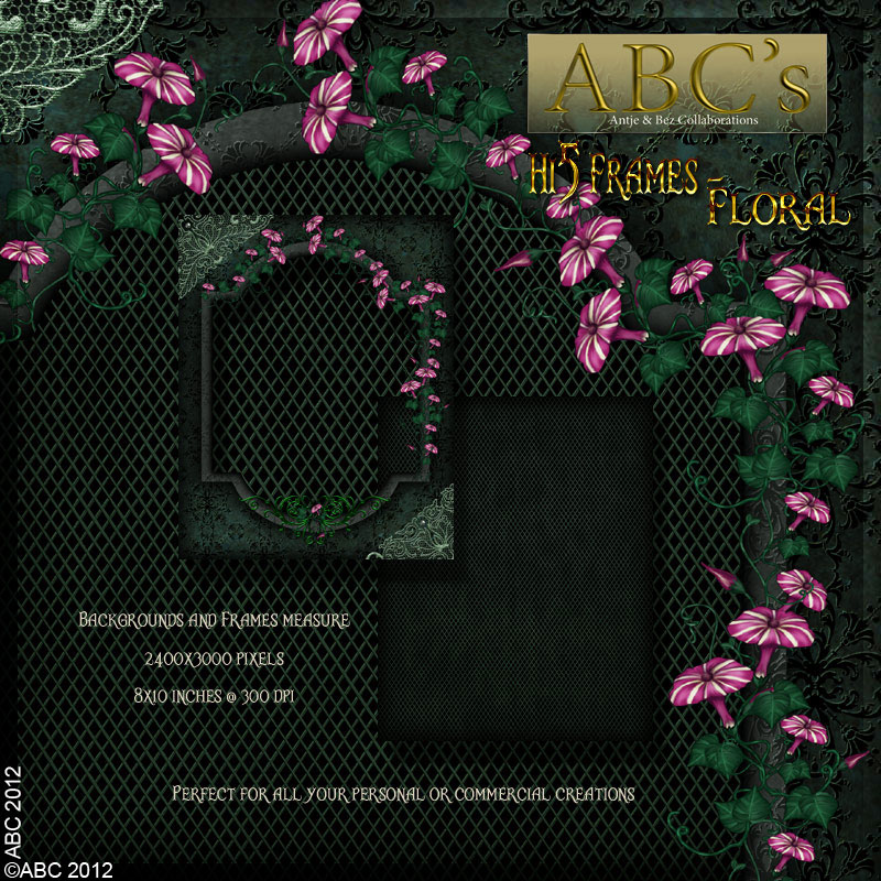 ABC - Hi5 Frames - Floral by N/A