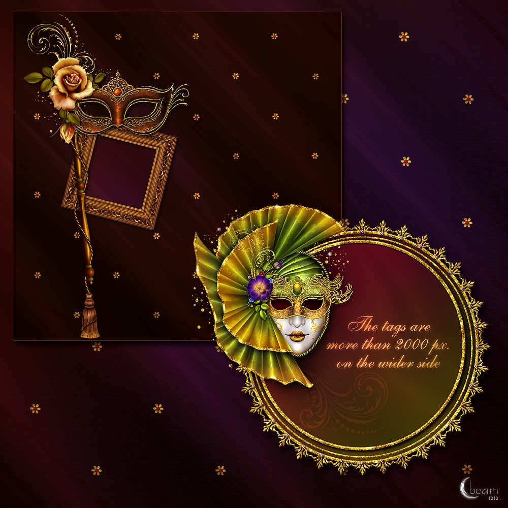 Moonbeam's Masquerade by N/A