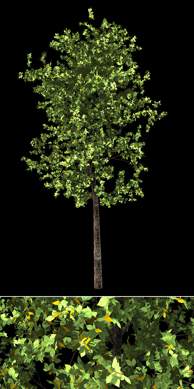 Urban Trees by N/A