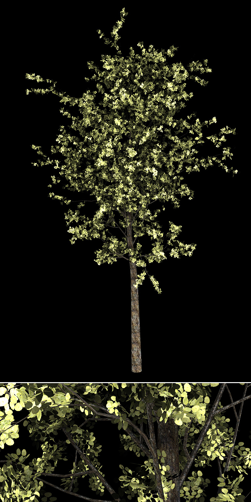 Urban Trees by N/A