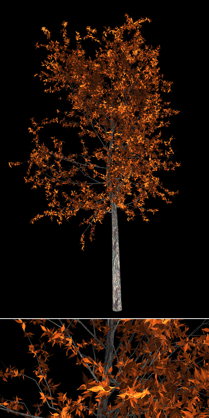 Urban Trees by N/A