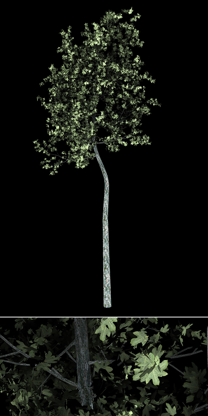 Urban Trees by N/A