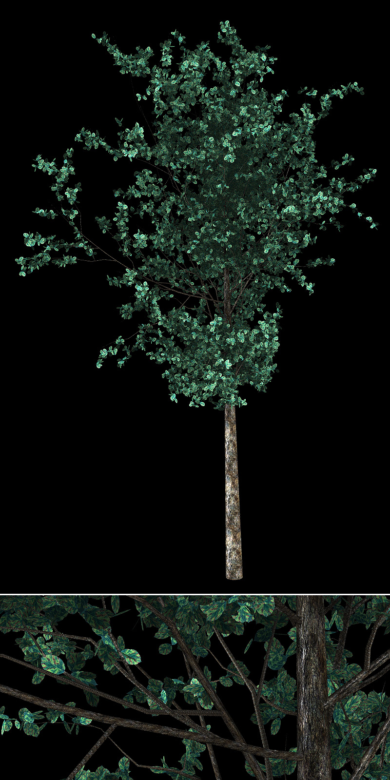 Urban Trees by N/A