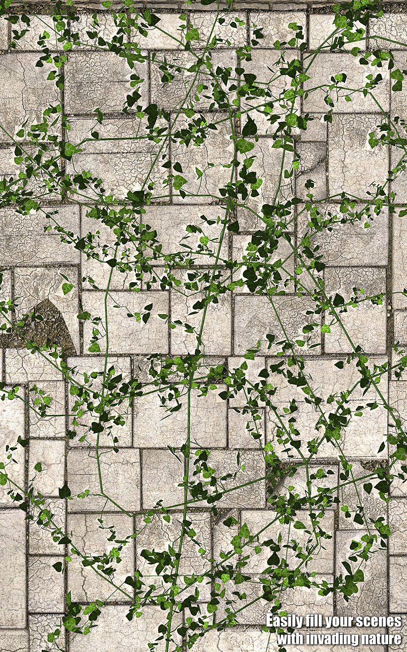 Creeping Vines by N/A
