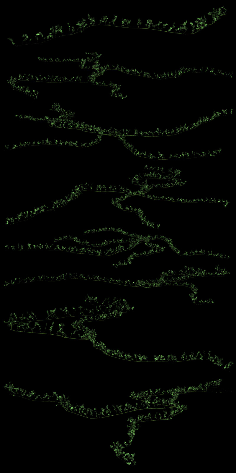 Creeping Vines by N/A