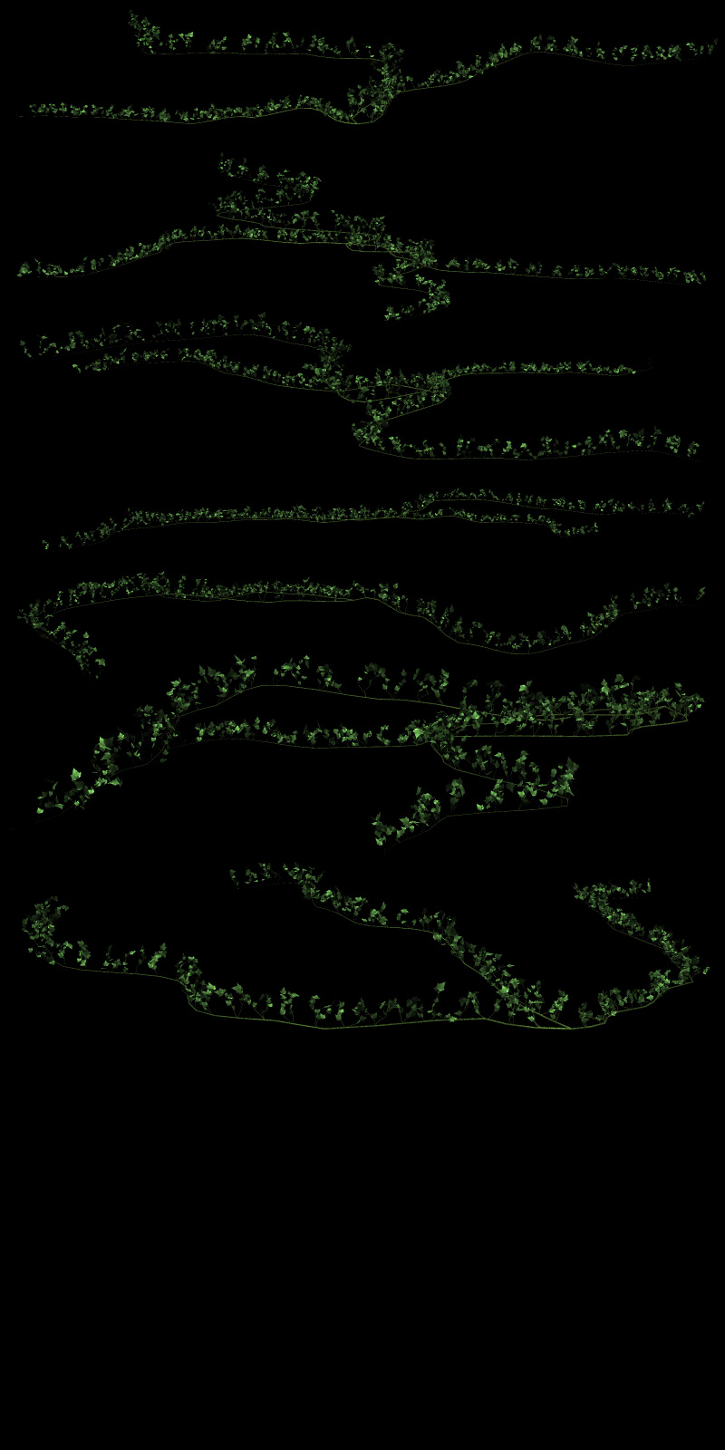 Creeping Vines by N/A