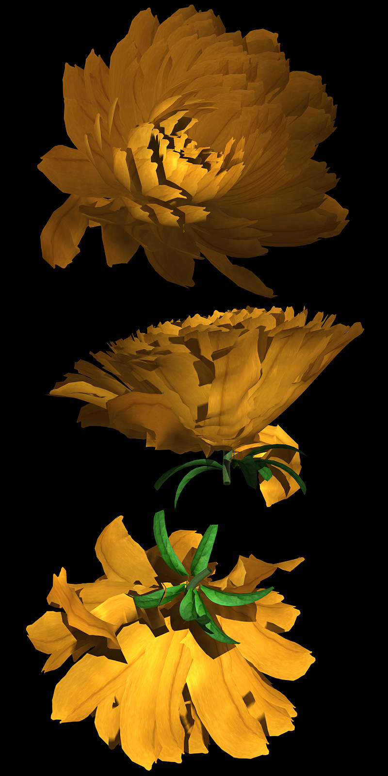 The Nursery - Chrysanthemum by N/A