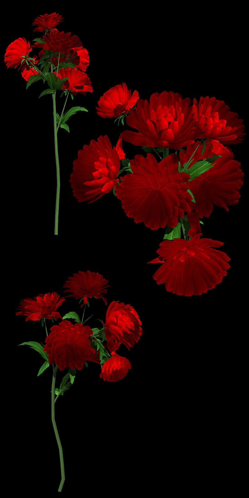 The Nursery - Chrysanthemum by N/A