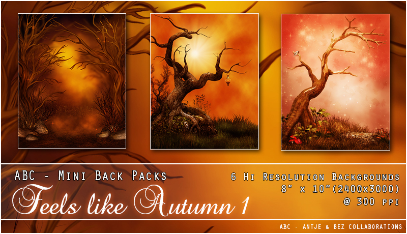 ABC's Feels Like Autumn 1 by N/A