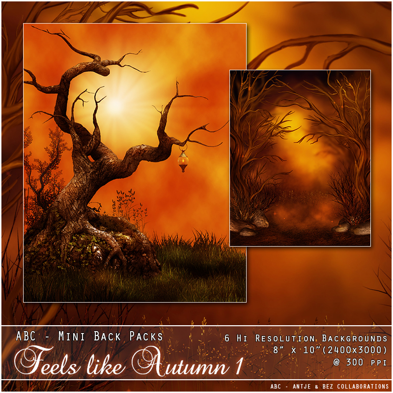 ABC's Feels Like Autumn 1 by N/A
