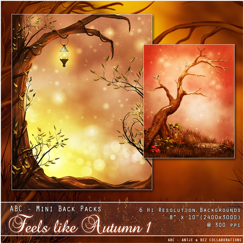 ABC's Feels Like Autumn 1 by N/A