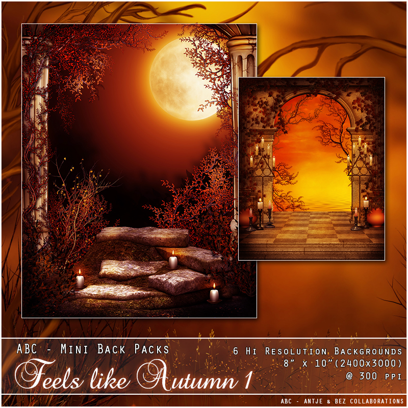 ABC's Feels Like Autumn 1 by N/A