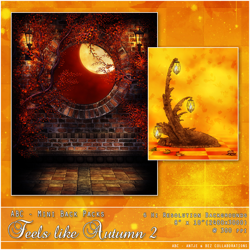 ABC's Feels Like Autumn 2 by N/A