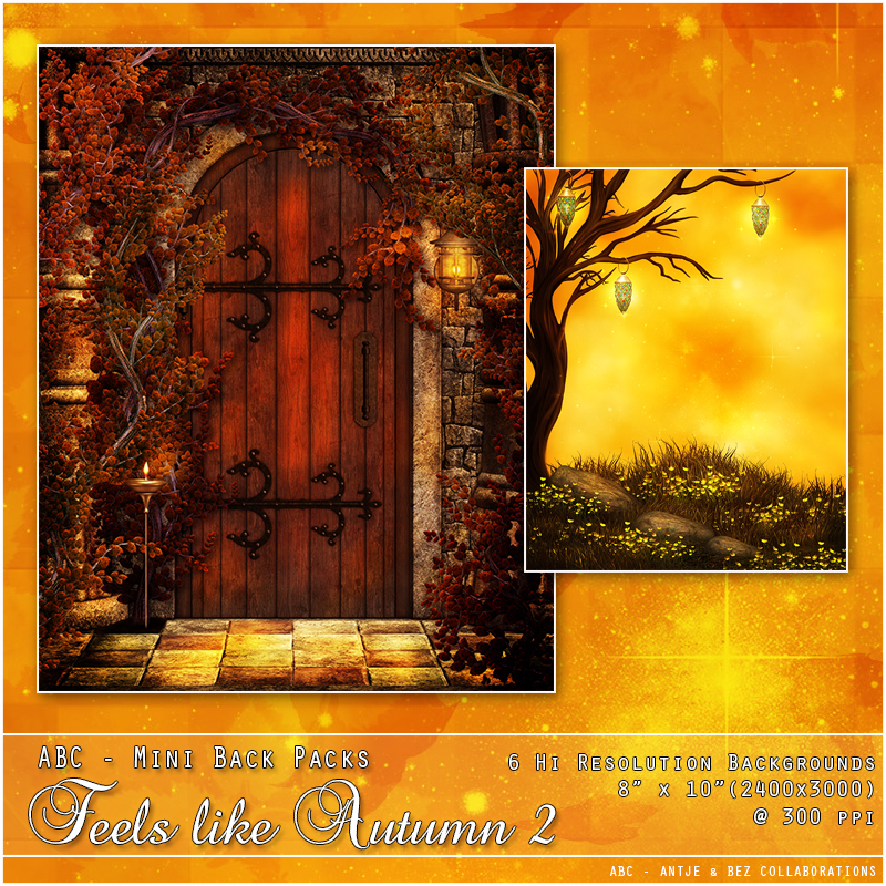 ABC's Feels Like Autumn 2 by N/A
