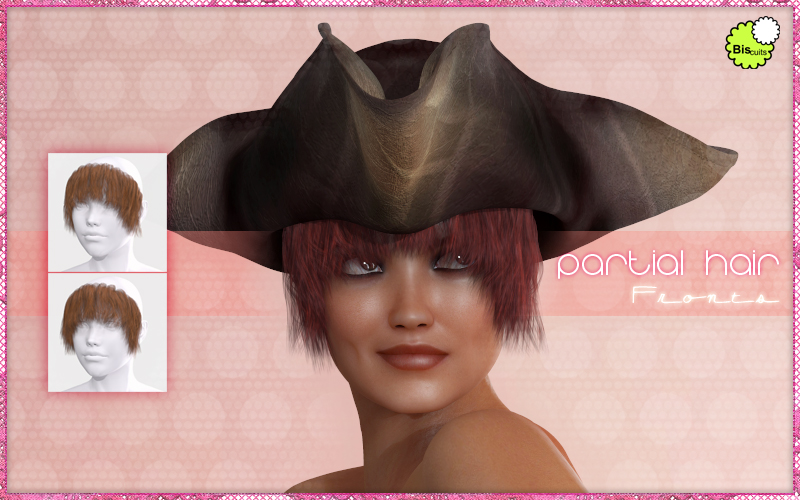 Biscuits Partial Hair Fronts by N/A