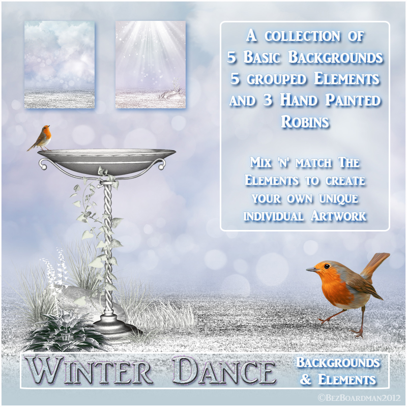 Winter Dance by N/A