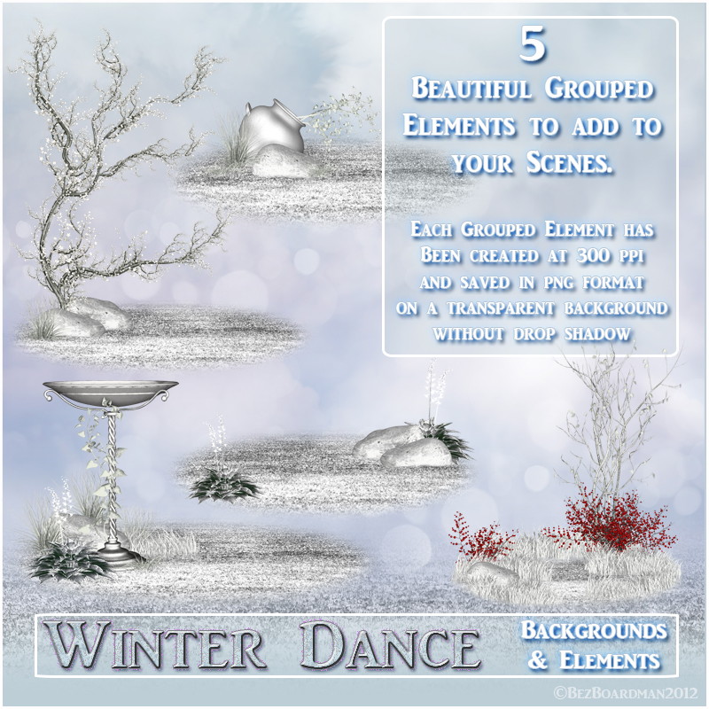 Winter Dance by N/A